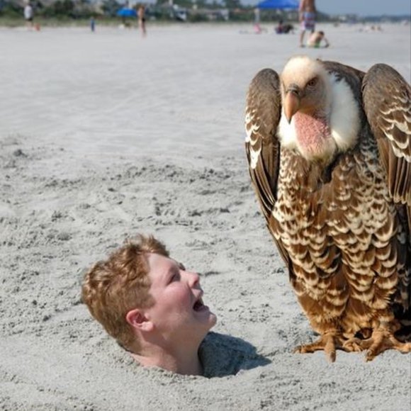 😁 Funnies to Bring a Laugh and Joy to your Day! 😁 - Picture 9 of 15